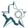 lone star logo